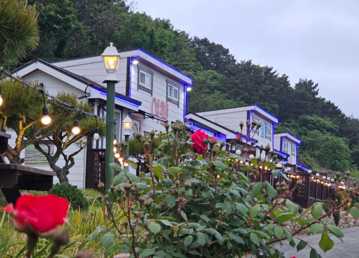 청산도여행 펜션