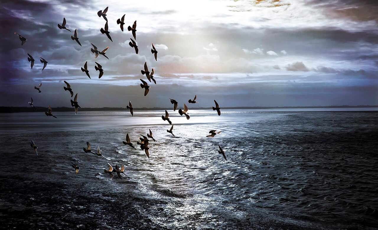 날아다니는꿈해몽 30가지 – 하늘을 나는 당신에게 찾아온 메시지