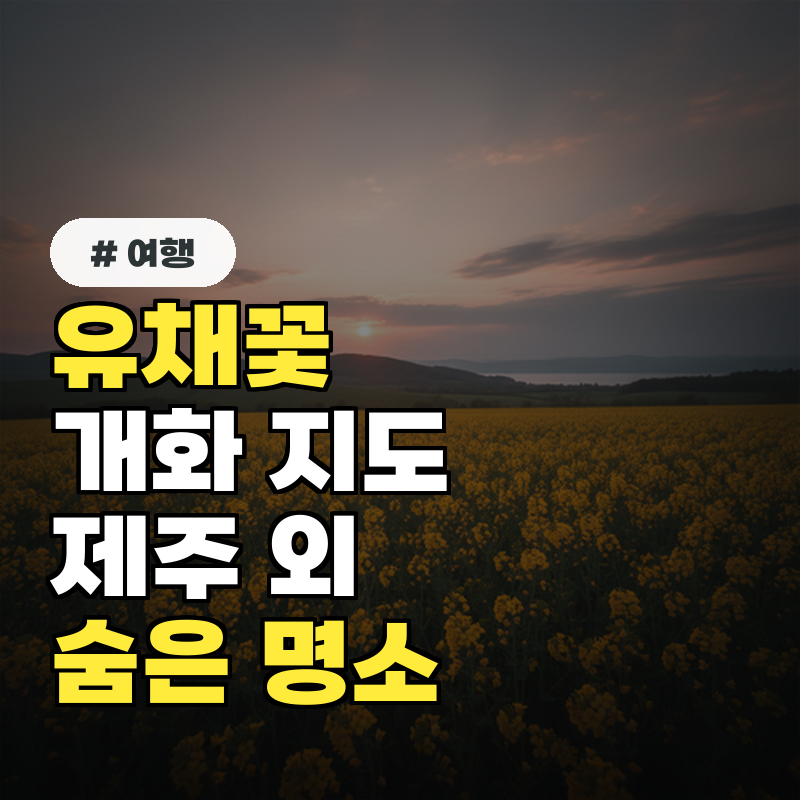 유채꽃 개화 지도 제주도 외 숨겨진 명소 어디