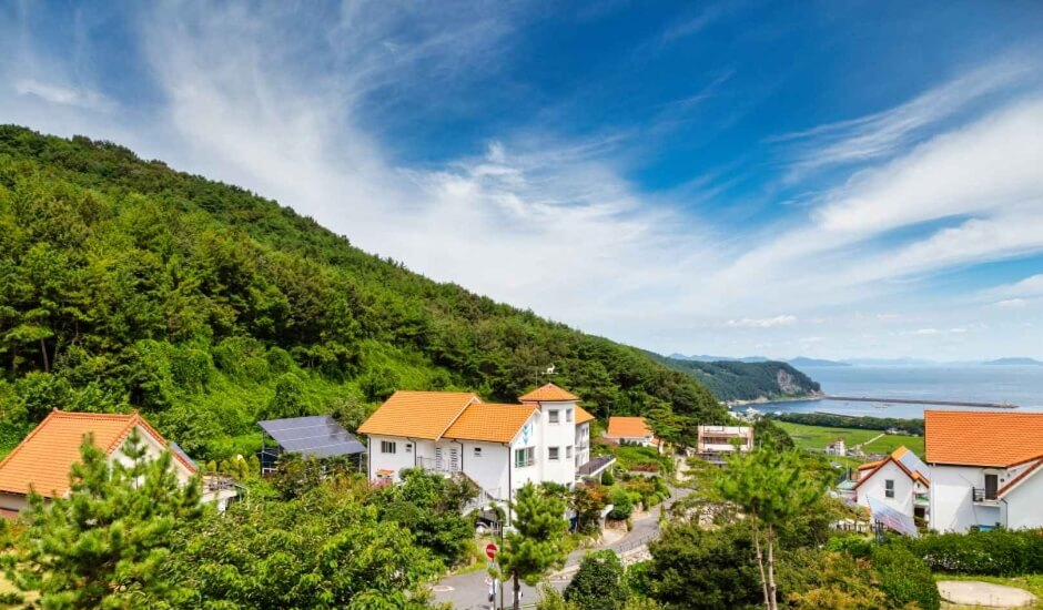 남해안 반려견 겨울 나들이 명소, 강아지와 함께 걷기 좋은 바다 산책 코스