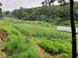 농지연금 수령액 계산 방법