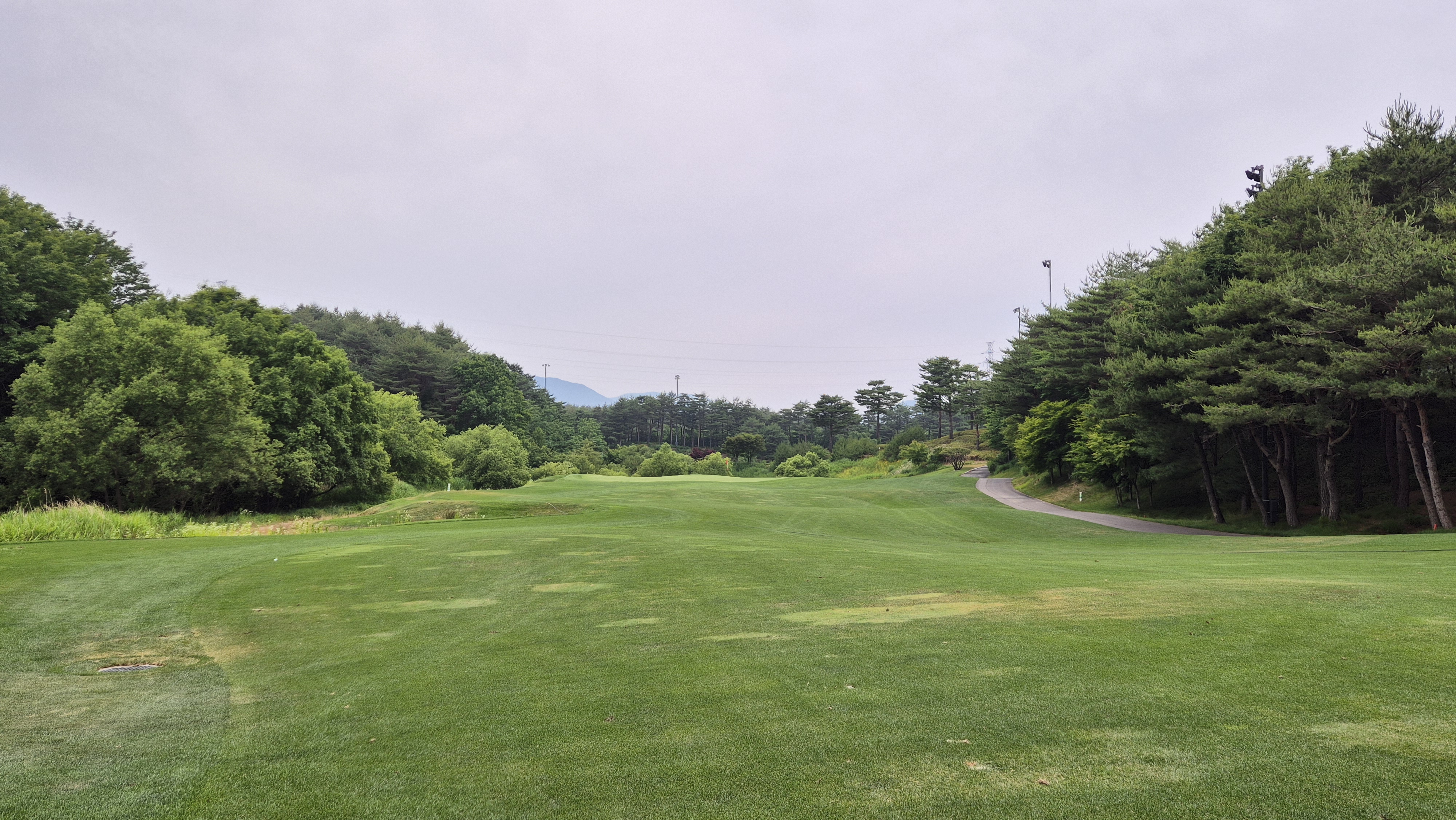 파인리즈cc 후기 및 코스사진