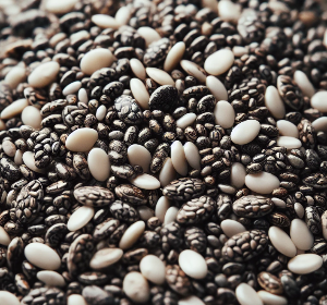 치아씨드 영양성분 과 칼로리 : 슈퍼푸드의 비밀을 파헤치다