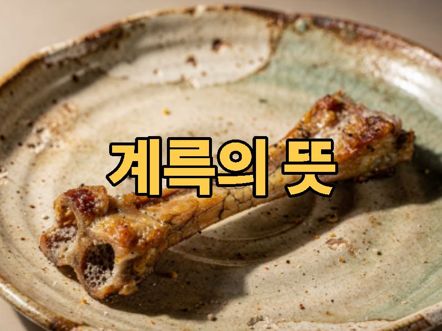 계륵의 뜻 유래
