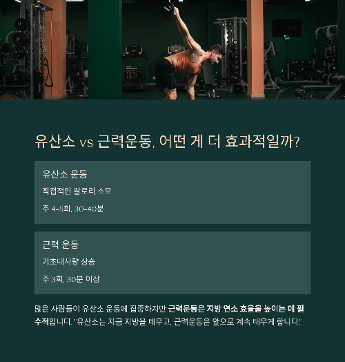 체지방 줄이는 가장 현실적인 방법: 실패 없는 습관 루틴 공개