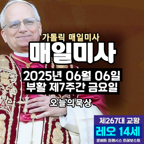 2025년 6월 6일 매일미사 부활 제7주간 금요일 오늘의 묵상