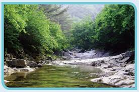 경기도계곡 추천 갈만한곳 베스트10