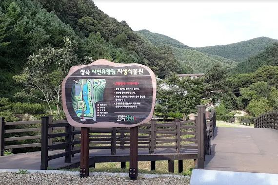 장곡자연휴양림