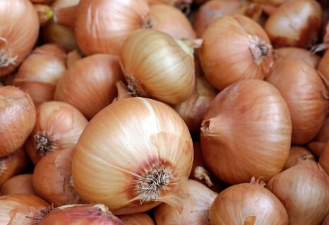 건강에 도움을 주는 양파