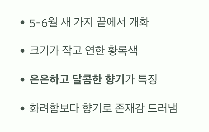 작지만 향기로운, 5월의 꽃