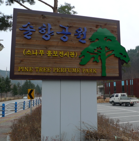 보은 가볼만한곳 베스트10