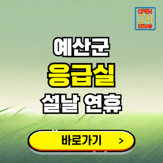 예산군 설날 연휴 비상진료 응급실 병원 찾기 ❘ 내근처 24시 야간 심야 휴일 가능한 곳