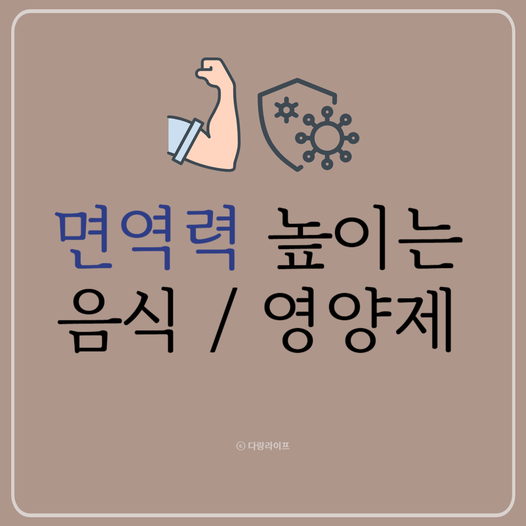 면역력높이는음식 면역력높이는영양제