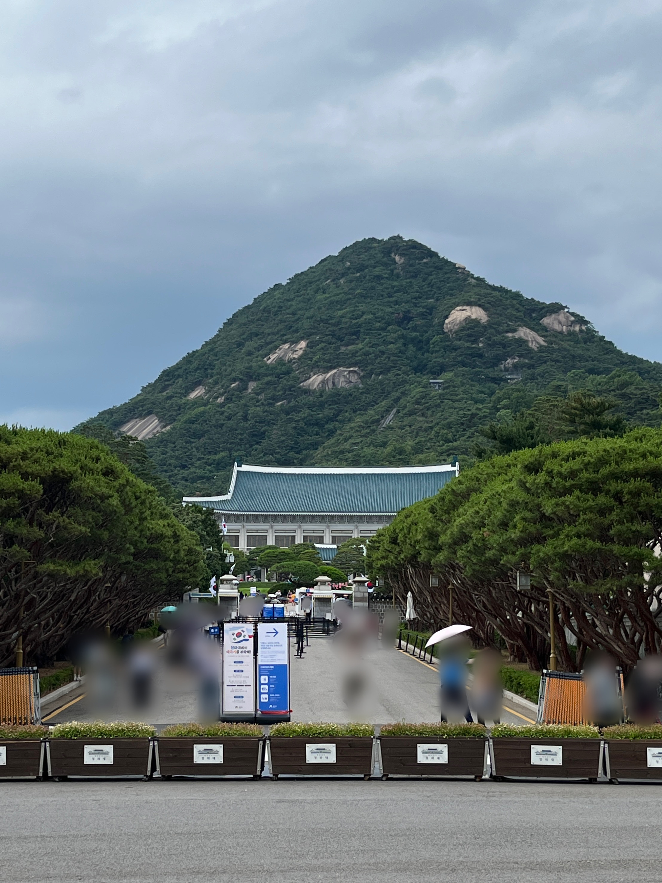 청와대 관람후기