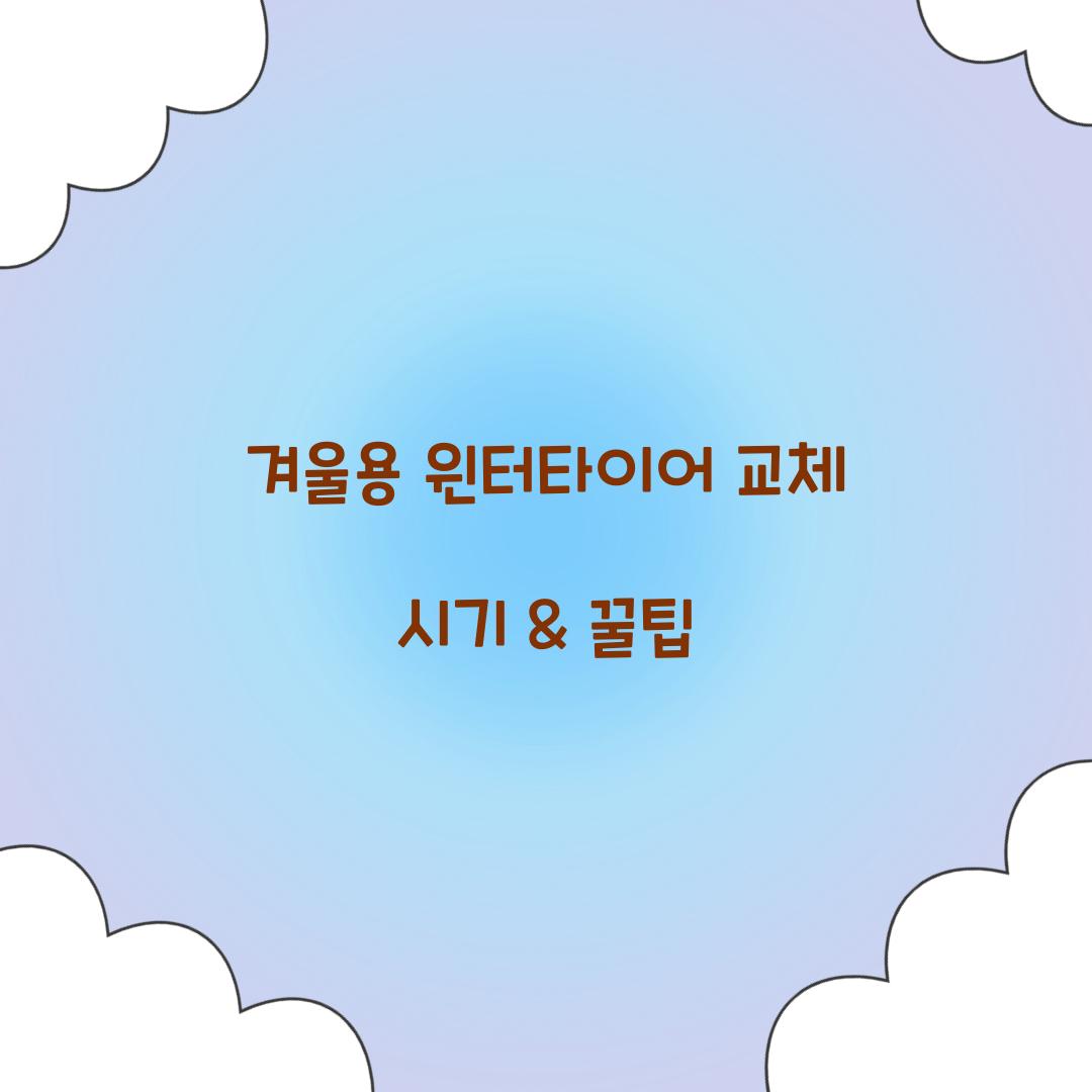 겨울용 윈터타이어 교체