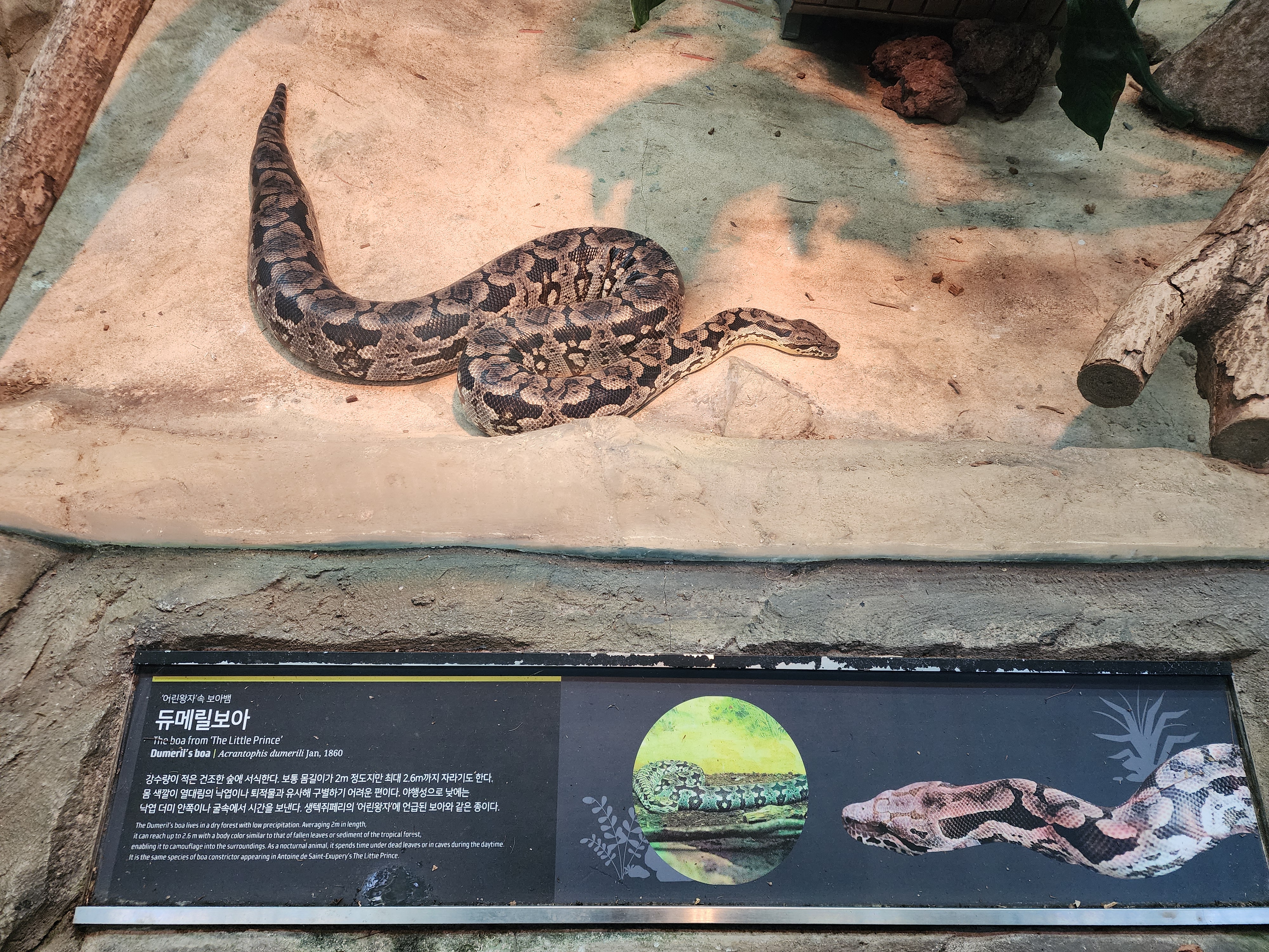 국립생태원의 동물들