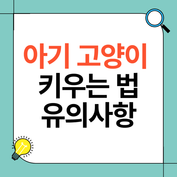 아기 고양이 키우는 법