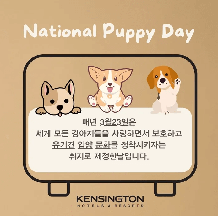 국제 강아지의 날 행사 정보
