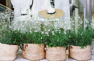 2025년 국세청 미수령 환급금 조회 방법