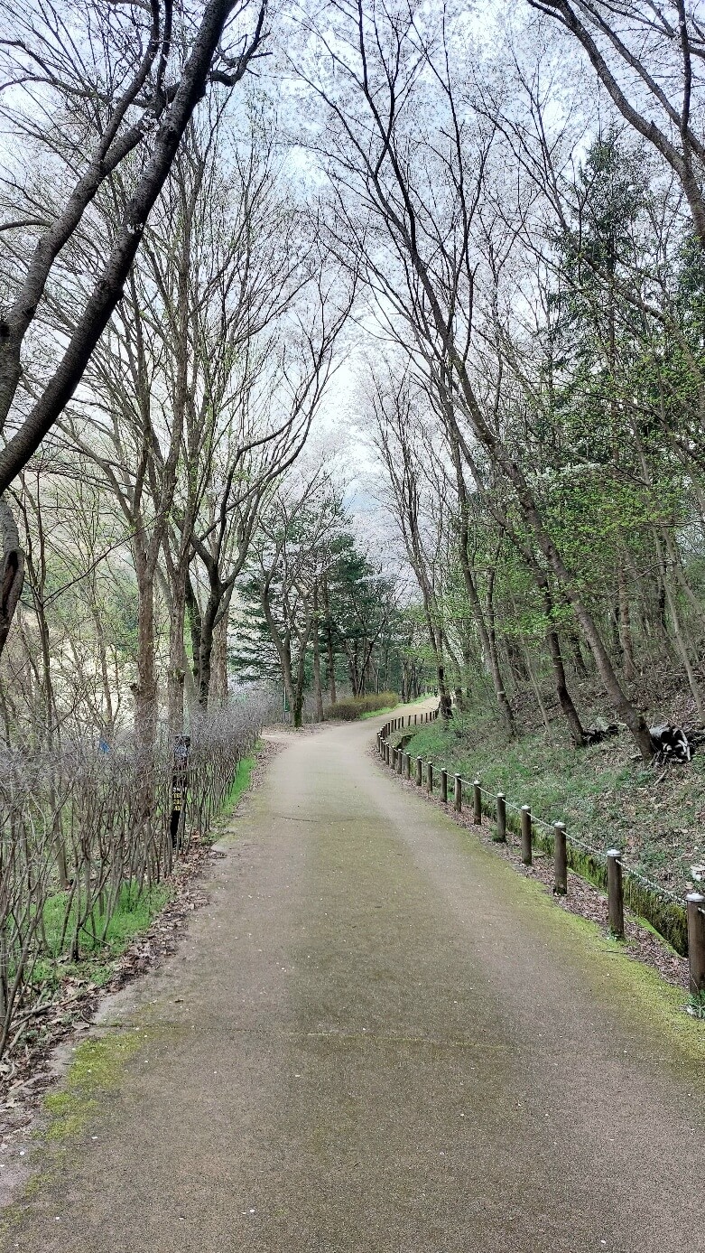 대아수목원 순환임도