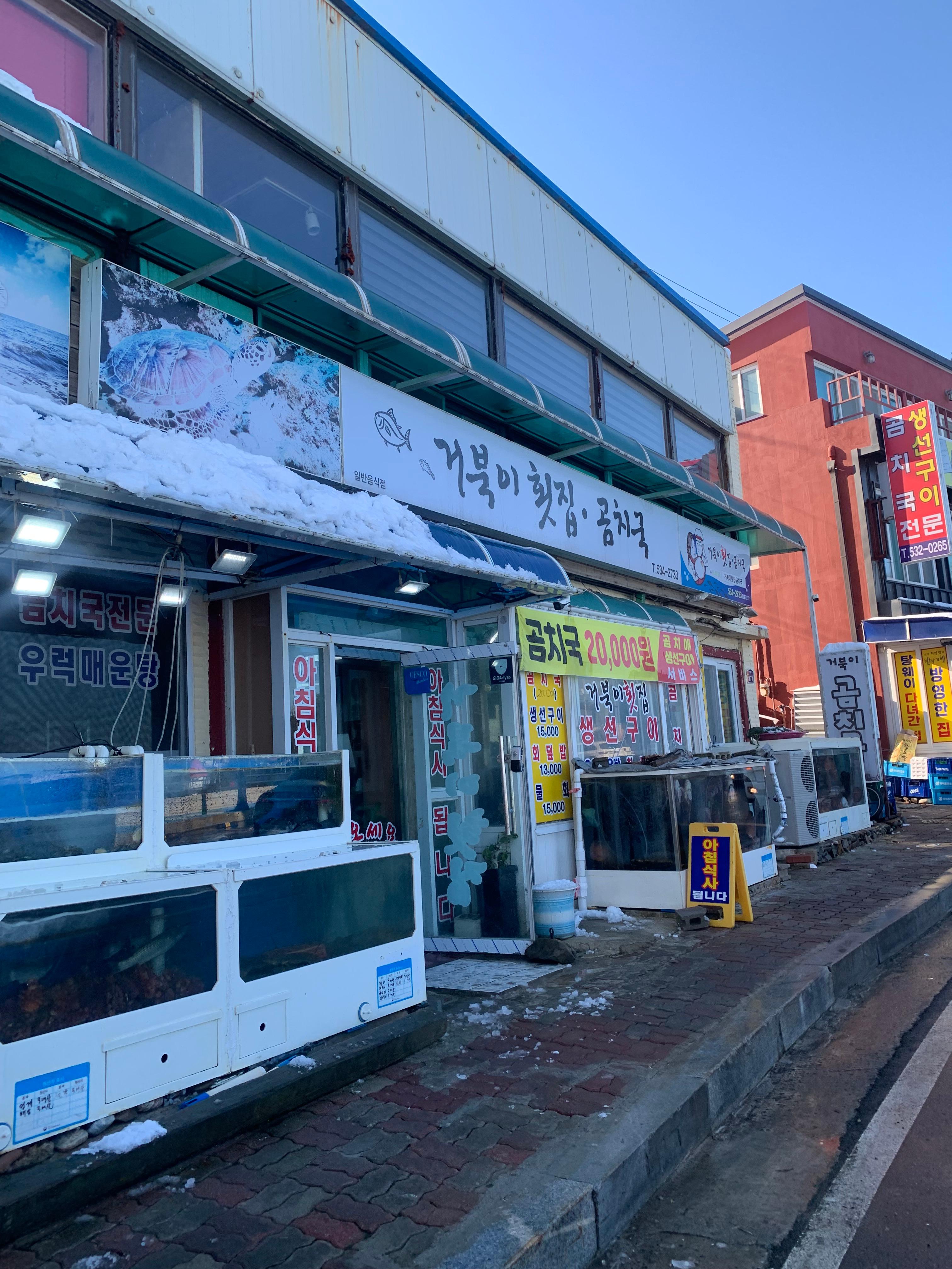 묵호 거북이횟집 곰치국 후기 내돈내산