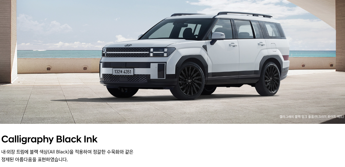 신형 싼타페 익스테리어 캘리그래피 블랙 잉크