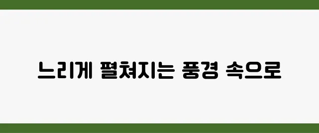 느린 기차 타고 떠나는 감성 여행