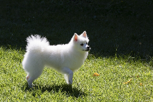 비염 뿌리를 뽑으려면, 치료방법