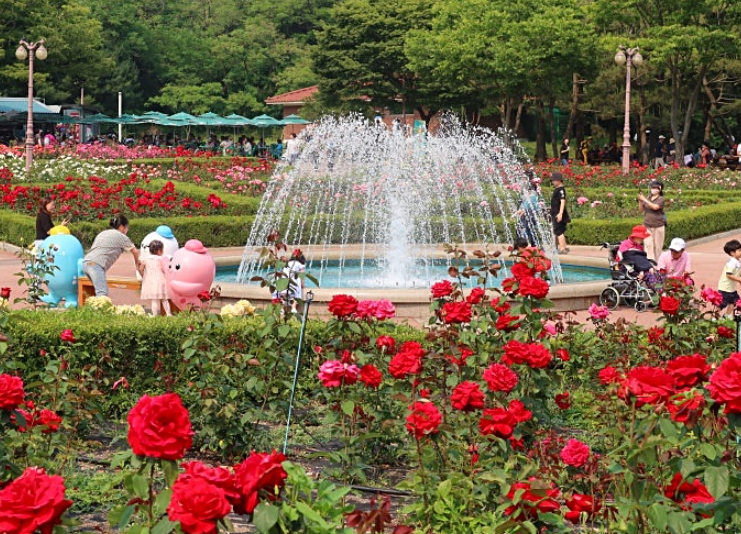 인천대공원 장미원