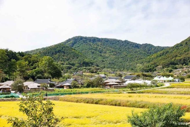 고성 가볼만한곳
