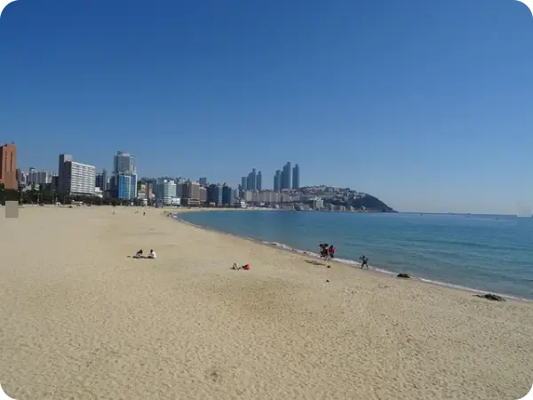 2025 해수욕장 개장 정보