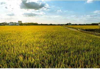 농지임대, 영농계약, 농업관련 교육이수