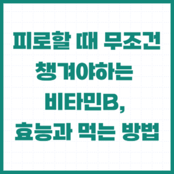 비타민-비-효능-건강식품