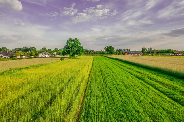 농업경영체등록 농업경영체확인서 발급