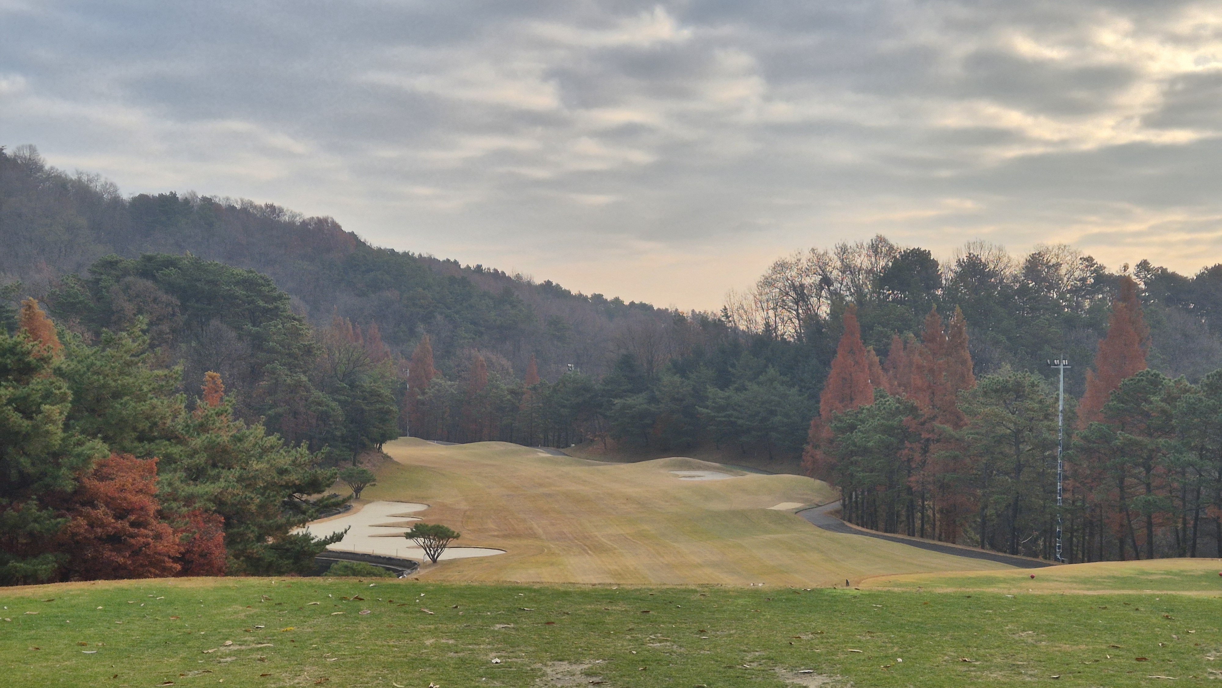 올데이 떼제베cc 가람코스 사진 및 공략 정보