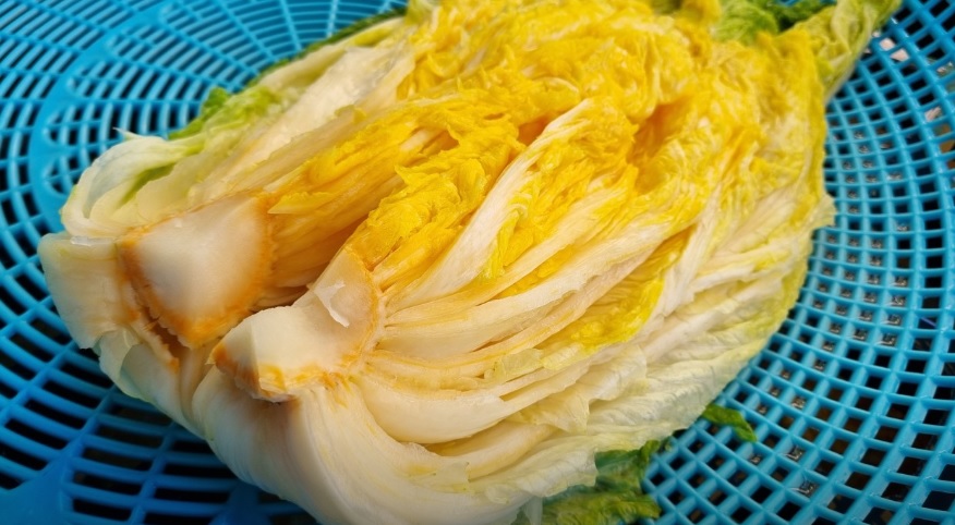 오늘N 이 맛에 산다 부안 부건농장 직거래 농산물 절임배추 고추가루 김장김치재료