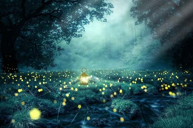반딧불이