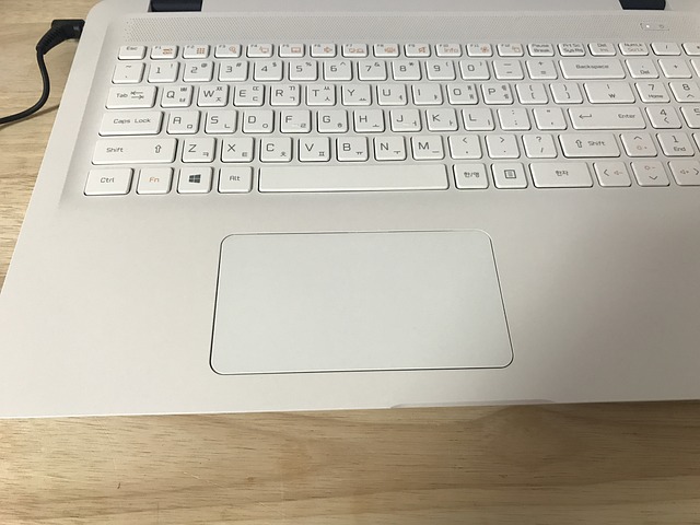 LG전자-서비스센터-안내