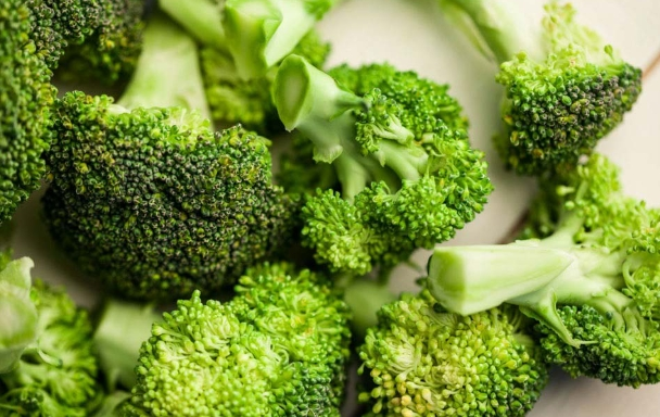 시니어 근력 유지에 좋은 식품 총정리