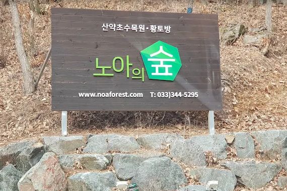 노아의숲