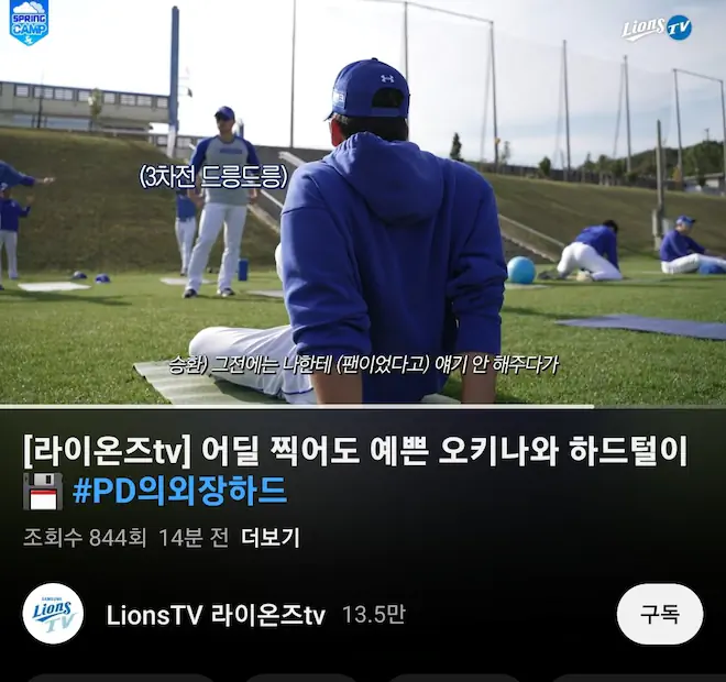 삼성 라이온즈 유튜브 페미 논란