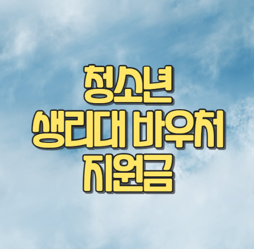 생리대 바우처 지원금