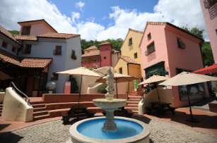 가평 반려동물 문화행사 활짝펫