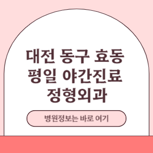 대전 동구 효동 야간진료 정형외과 진료 병원