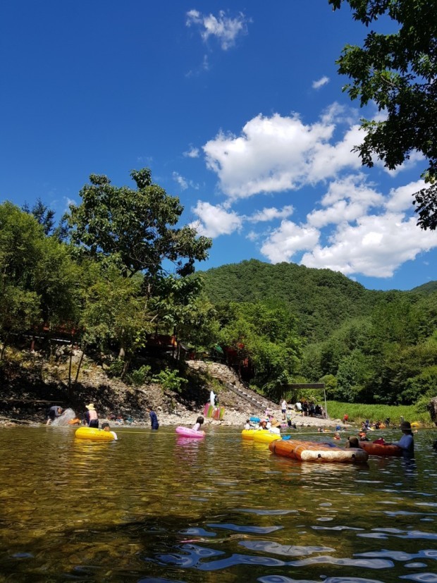 김삿갓 계곡 캠핑