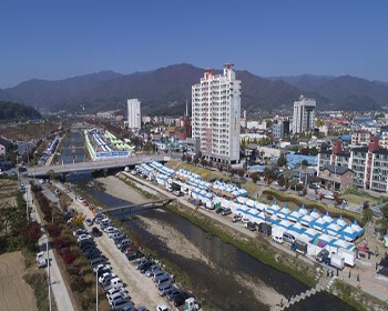 풍기인삼축제