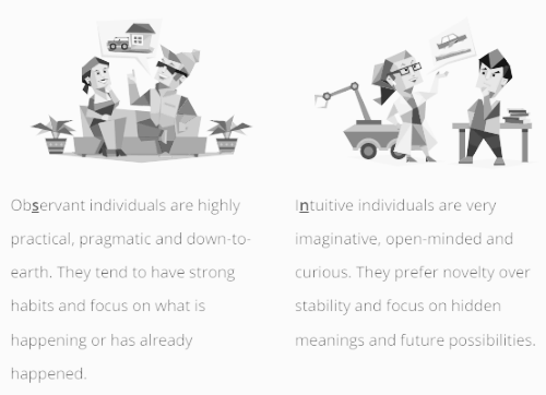 인식 기능 (직관 N - 감각 S)