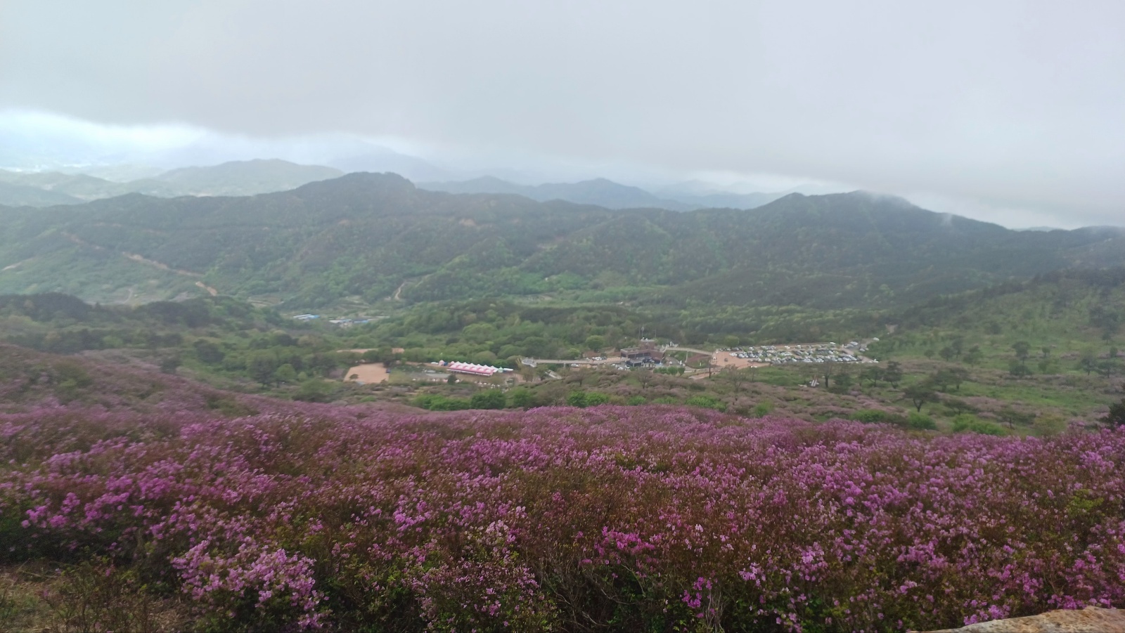 합천 황매산 철쭉39