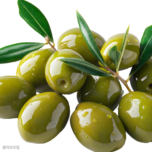 올리브