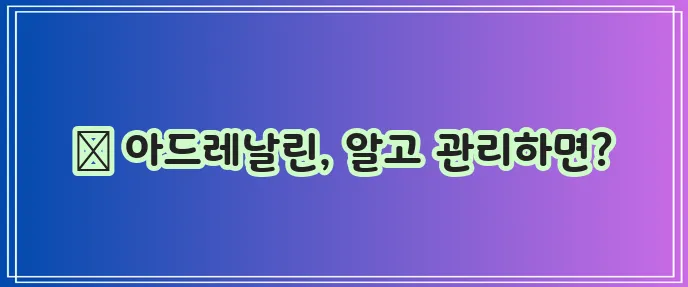 아드레날린 신체 영향과 관리법 확실히 알아두세요